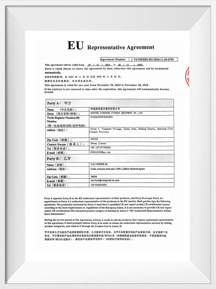 Euroopan valtuutettu edustaja